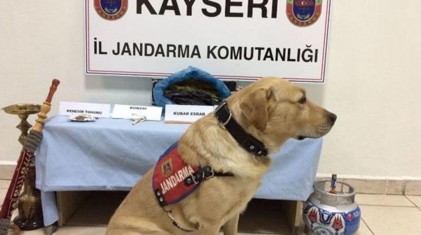 Jandarmadan Uyuşturucu Ve Tarihi Eser Operasyonu