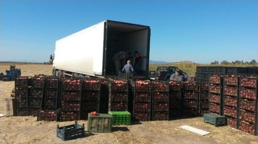 İzmirli Şimşek Ailesi, Suriye&rsquo;ye 42 Ton Nar Bağışladı