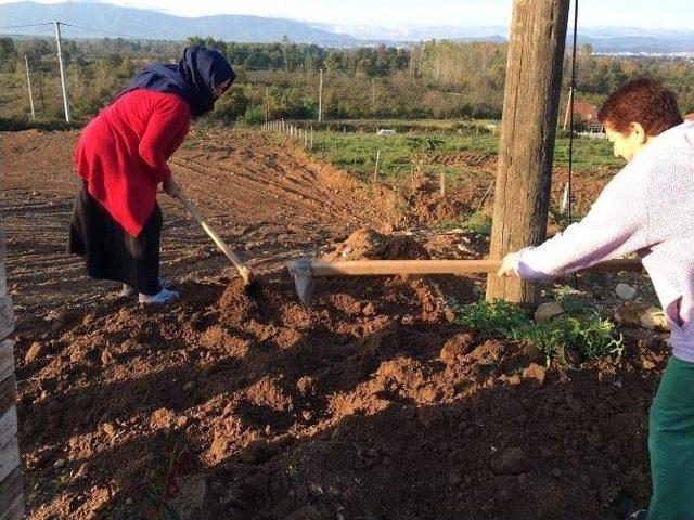 Düzceli Depremzedeler Ve Gönüllüler Birlikte İnşaat İçin Buluştu