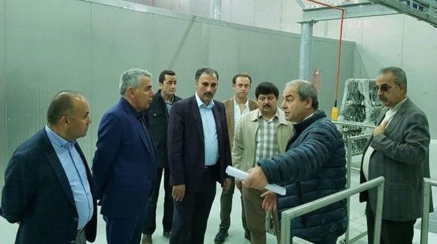 Et Ve S&uuml;t Kurumu Genel M&uuml;d&uuml;r&uuml; Yılmaz, Et Entegre Tesisinde İncelemede Bulundu