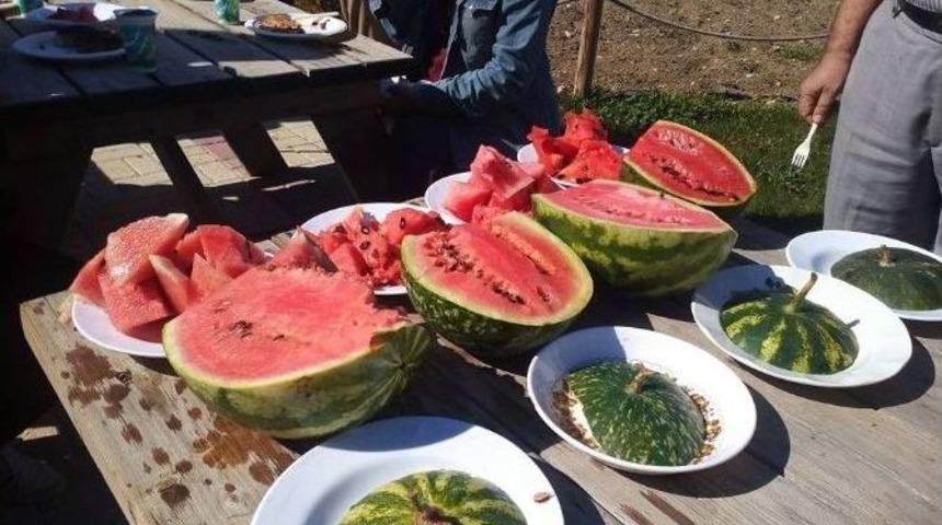 Bursa&rsquo;da Kıbrıs Kabağı Yetiştirildi