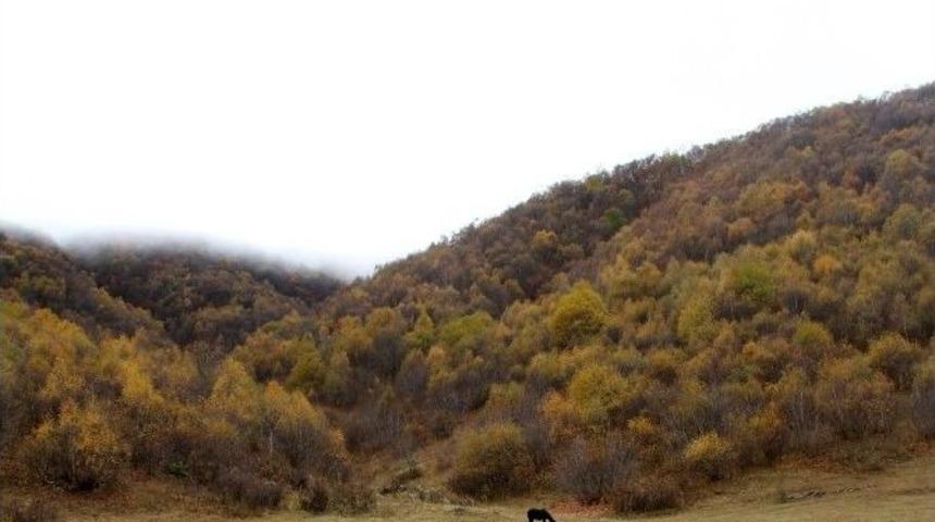 Sınır B&ouml;lgesinde K&ouml;yl&uuml;ler Tedirgin