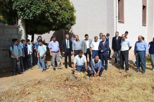 Mustafa Erdemoğlu Anadolu Lisesi Ösys’de Yüzde 57.73 Başarı Oranı Yakaladı