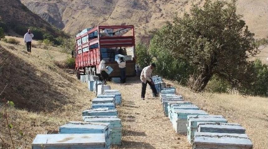 Muş&rsquo;taki Arıcılar Sıcak B&ouml;lgelere Gidiyor