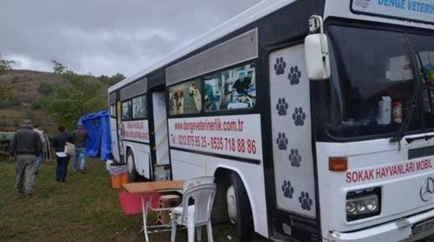 Sahipsiz Sokak Hayvanlarına Mobil Veterinerlik Hizmeti