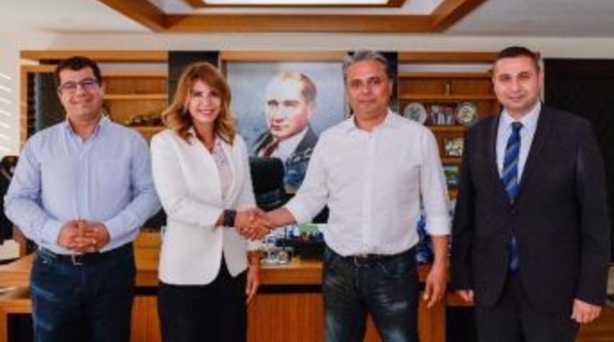 Asans&ouml;r Denetimi İ&ccedil;in İşbirliği