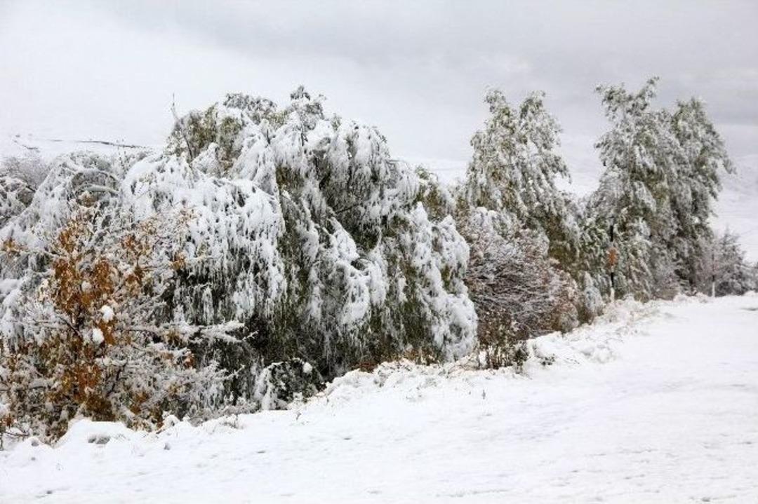 Erzurum Kar Yağışıyla Birlikte Beyaz &Ouml;rt&uuml;ye B&uuml;r&uuml;nd&uuml;