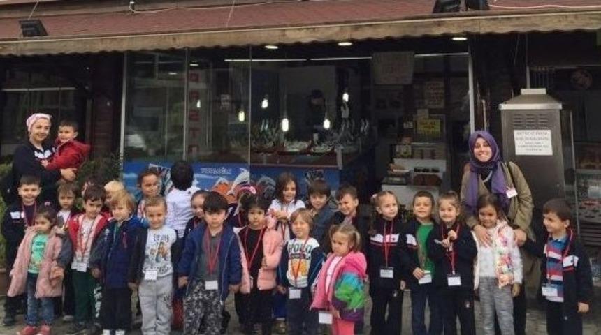 K&uuml;lt&uuml;rl&uuml; Minikler Balıkları İncelediler Faydalarını &Ouml;ğrendiler