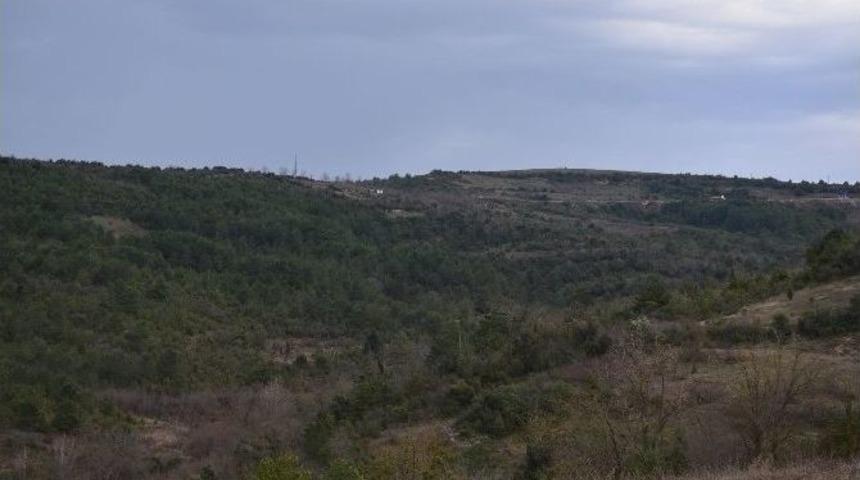 Alaplı Osb, Altyapı İhalesine &Ccedil;ıkıyor