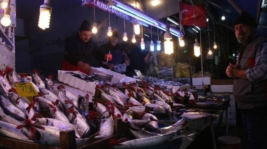 Havalar Soğudu, Palamudun Fiyatı 2 Kat Arttı