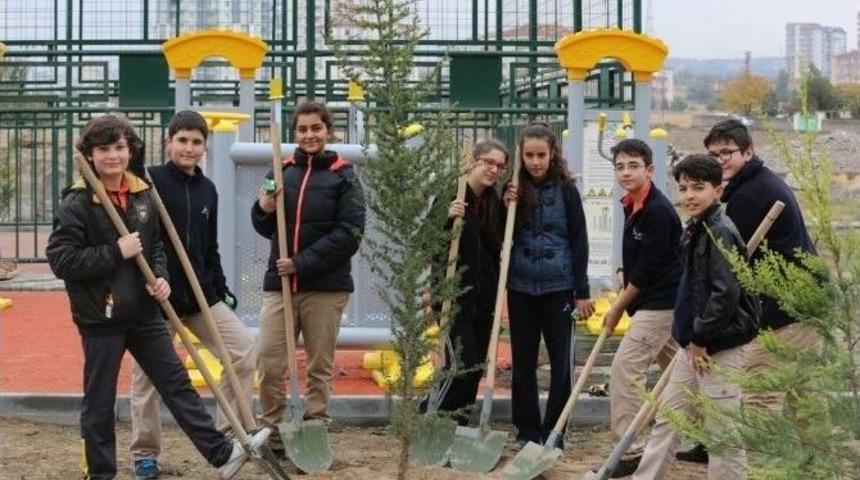 Melikgazi&rsquo;de Sonbahar Ağa&ccedil;landırma &Ccedil;alışmaları Başladı