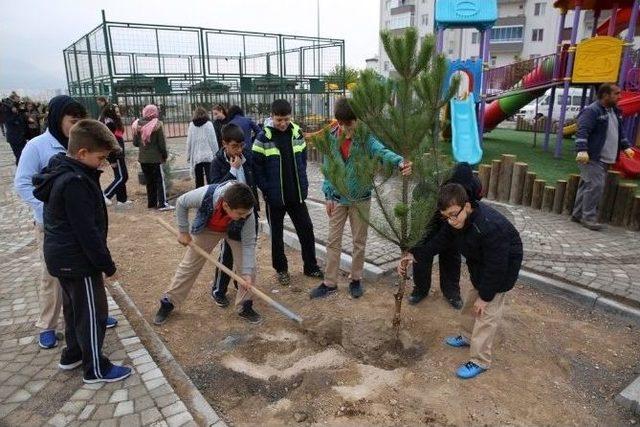 Melikgazi’de Sonbahar Ağaçlandırma Çalışmaları Başladı