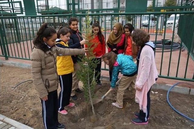 Melikgazi’de Sonbahar Ağaçlandırma Çalışmaları Başladı