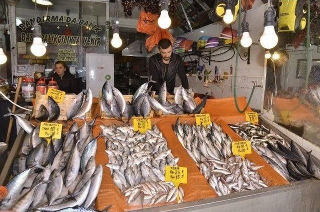 Soğuklar Balık Fiyatlarını Etkilemedi