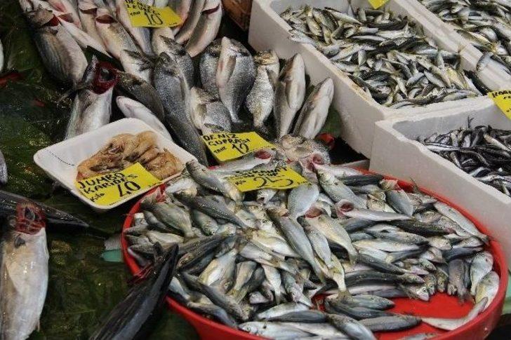 Rüzgar, Yağmur Ve Fırtına Balık Fiyatlarını Etkilemedi G1