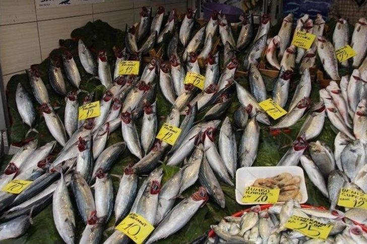 Rüzgar, Yağmur Ve Fırtına Balık Fiyatlarını Etkilemedi G2