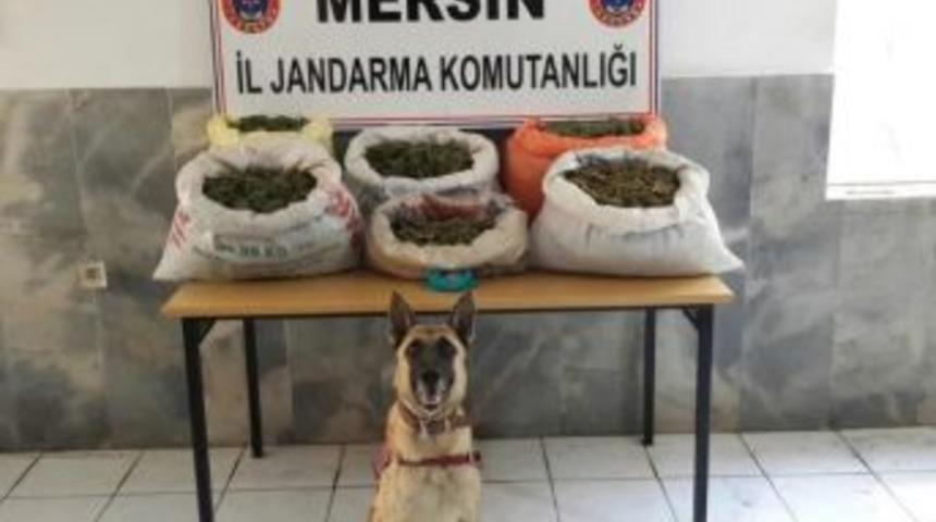 Mersin&rsquo;de Uyuşturucu Operasyonu