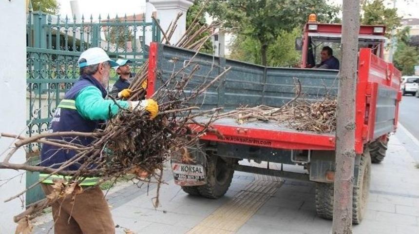 Sakarya&rsquo;da Ağa&ccedil;lar Budanıyor