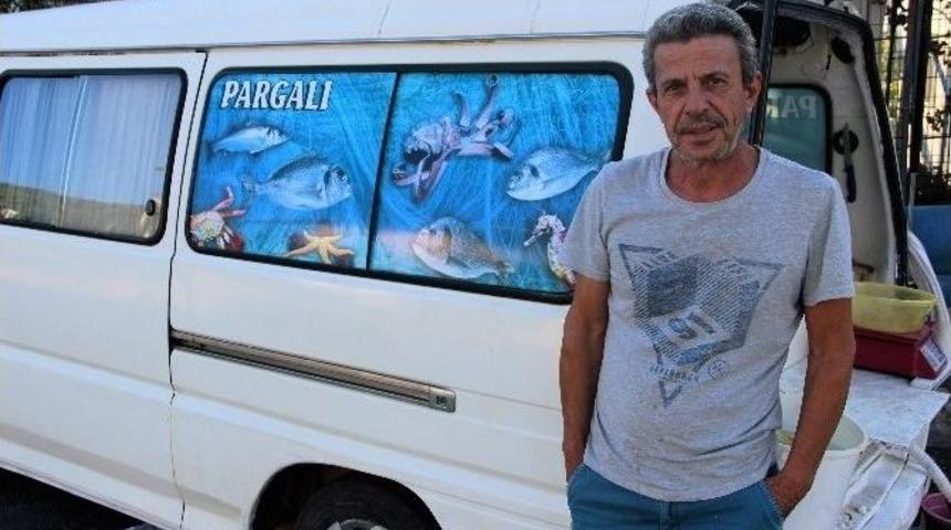 Domuzları Balıkla Besliyor