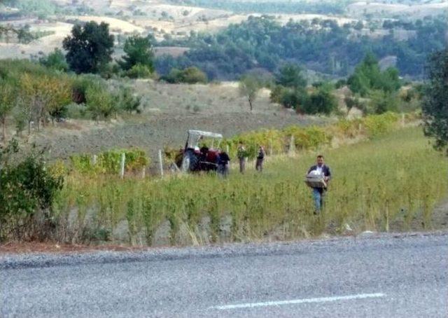 Traktör Kazasında Ağır Yaralanan Yaşlı Adam Hayatını Kaybetti