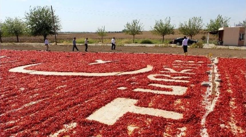 Bayrak Ve T&uuml;rkiye Sevgisini Biber Sergisine İşledi