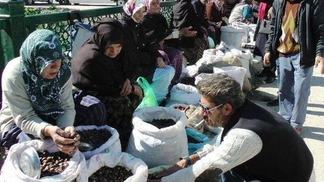 Kestane Bolluğu Satıcıları Sevindirirken, T&uuml;ketici Fiyatlardan Şikayet&ccedil;i 1