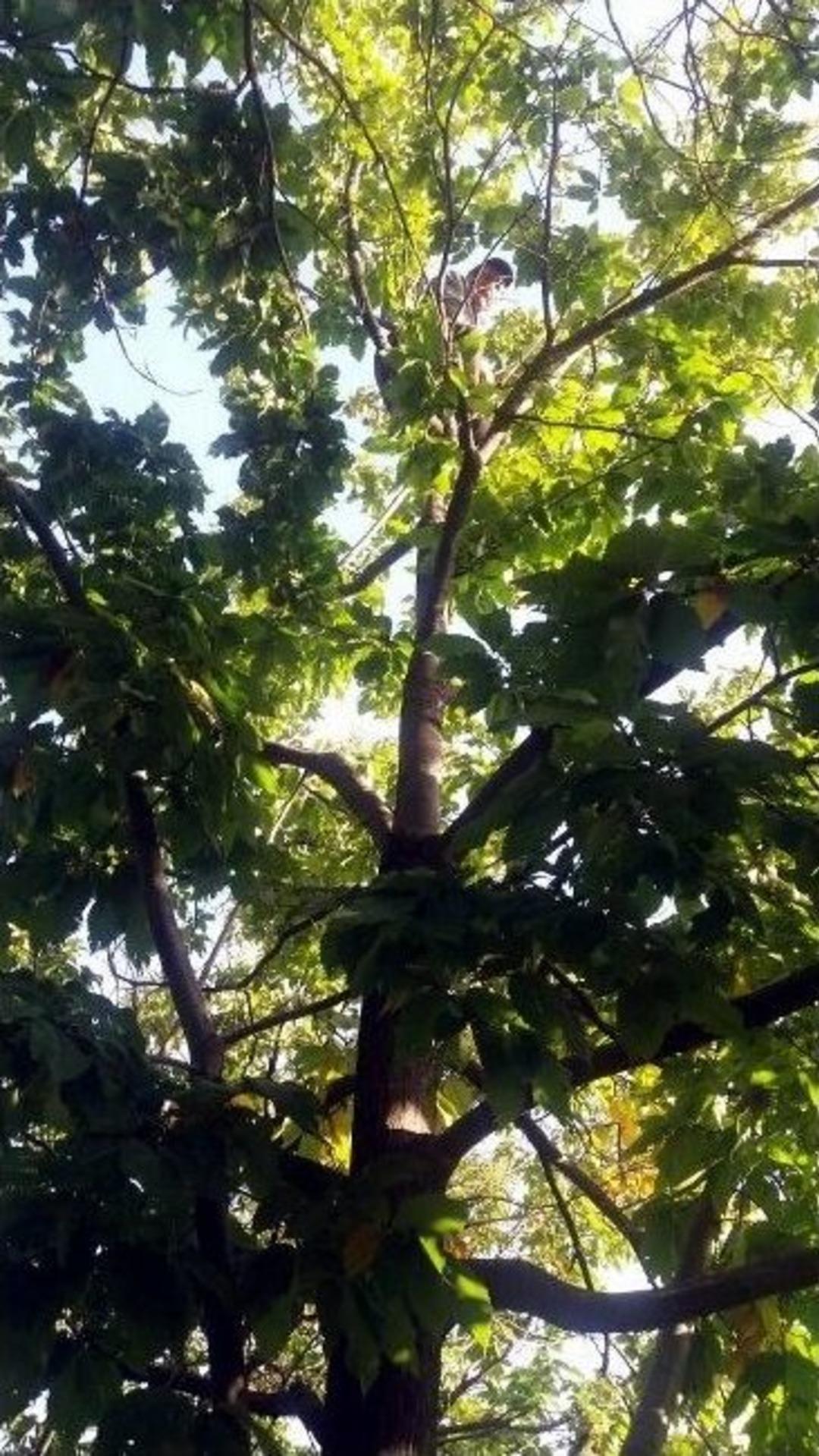 Bu Riski Alanlara M&uuml;hendis Maaşı &Ouml;deniyor