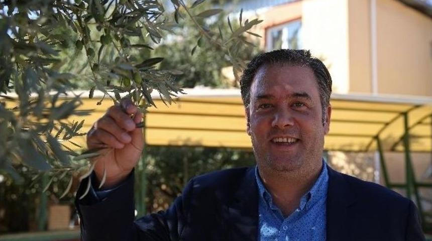 Buca&rsquo;dan Eğitime Zeytin Dalı