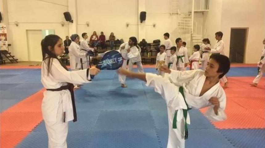 Karate Branşı Eğitim &Ccedil;alışmaları Devam Ediyor