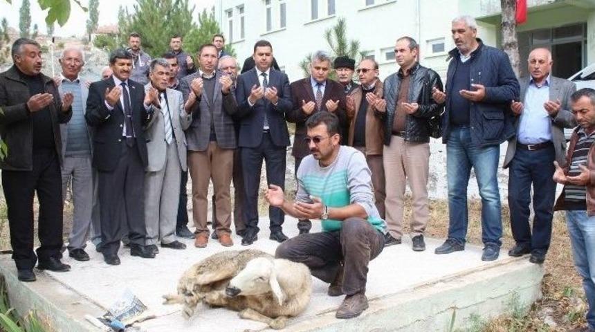 Gemerek, 50 Yıldır Hayali Olan Kartalkaya Barajı&rsquo;na Kavuşuyor