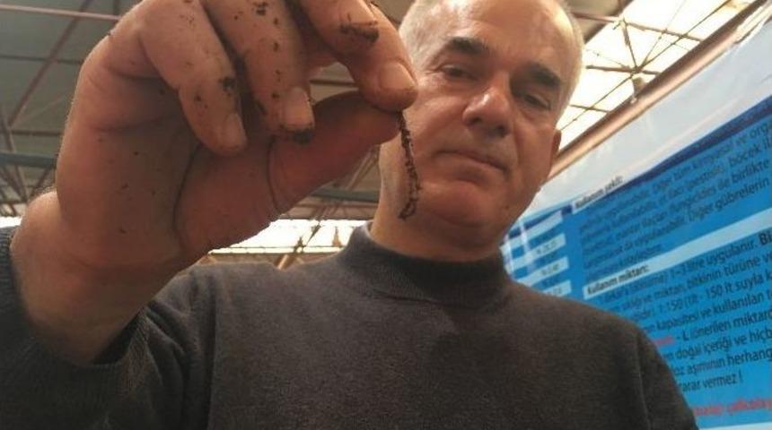 Tarımın Geleceği Solucanlara Bağlı