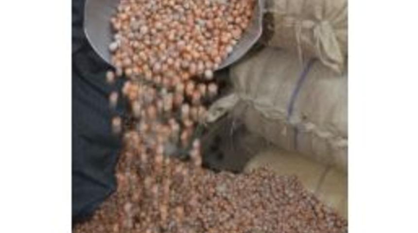 Fındıkçılardan İtalya’ya Sert Tepki