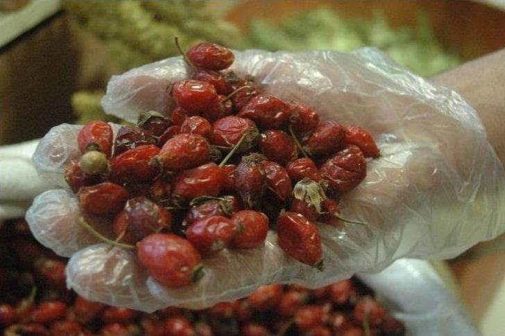 Mevsimsel Hastalıklara Ve Tedavi Yöntemlerine Dikkat G2