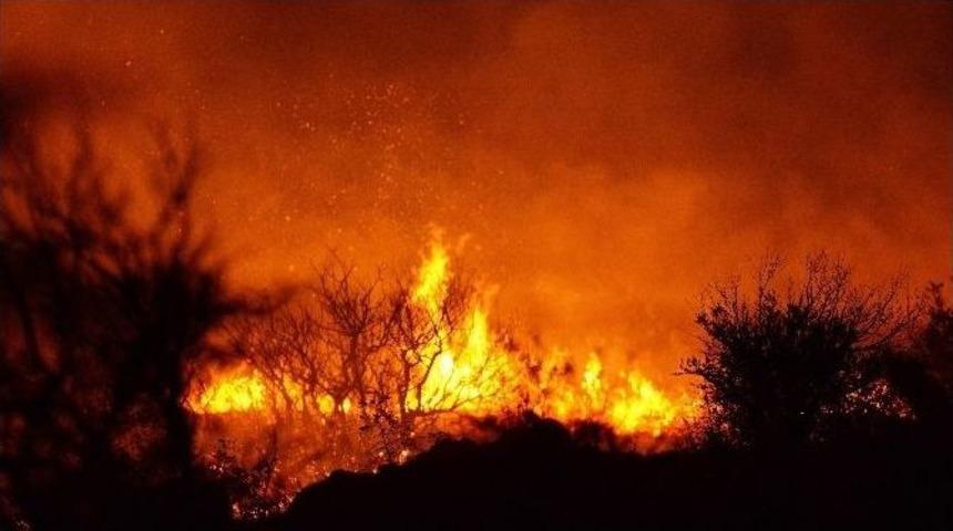 Bursa&rsquo;da Orman Yangını