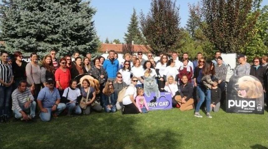 Odunpazarı Belediyesi Kedi Evleri Projesi&rsquo;ne Esyem&rsquo;den Destek