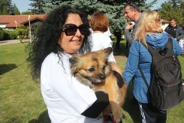 Odunpazarı Belediyesi Kedi Evleri Projesi’ne Esyem’den Destek