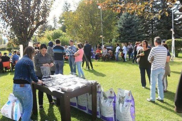 Odunpazarı Belediyesi Kedi Evleri Projesi’ne Esyem’den Destek