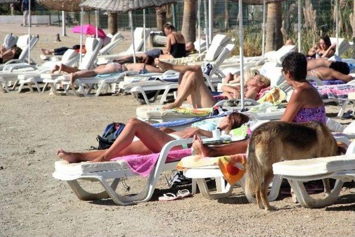 Doğuda Kar, Batıda Bahar G2