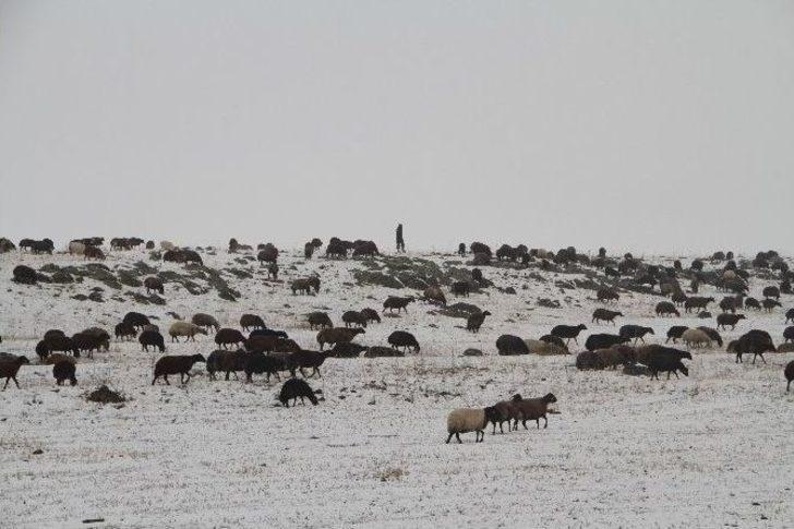 Kars’ı Kış Erken Vurdu G2