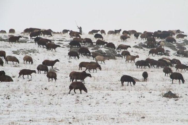 Kars’ı Kış Erken Vurdu G3