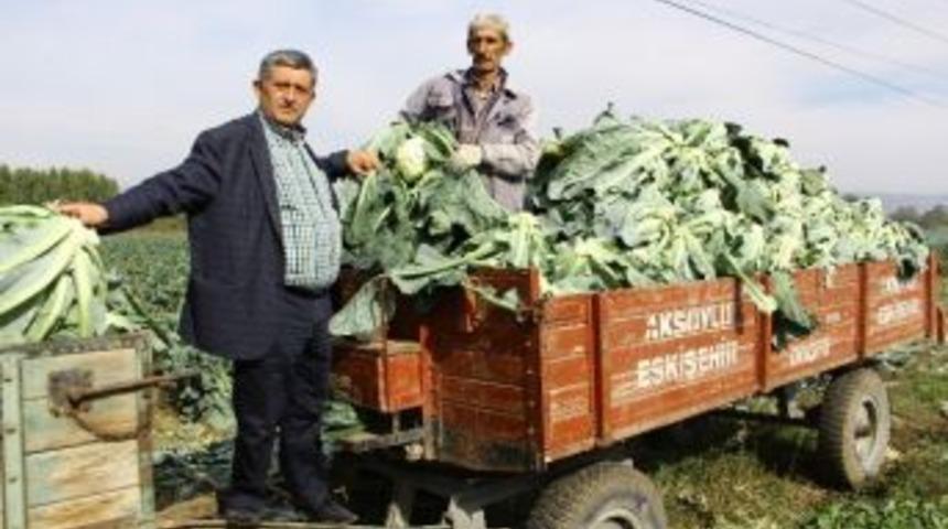 Kış Sebzeleri &Ccedil;ift&ccedil;inin Y&uuml;z&uuml;n&uuml; G&uuml;ld&uuml;rd&uuml;