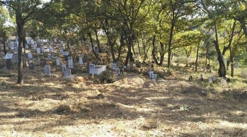 Dağyenik&ouml;y Kabristanlığı&rsquo;nda Bakım &Ccedil;alışması