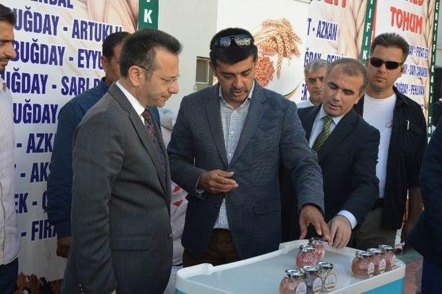 Diyarbakır’da ‘sertifikalı Tohum Dağıtım Töreni’ Yapıldı