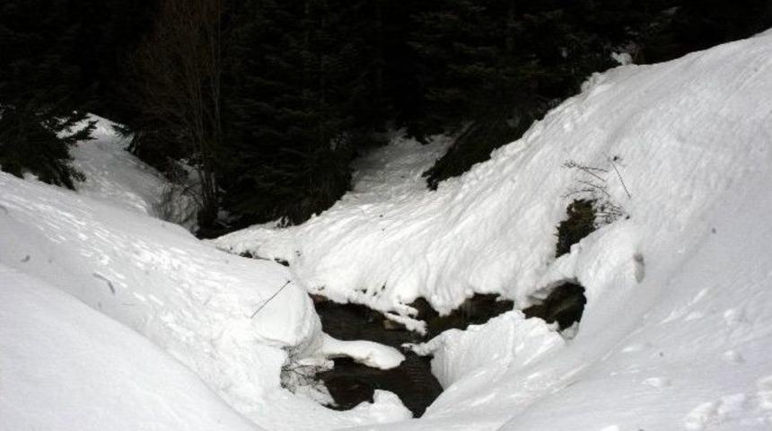 Kızak Kazasında Kızını Kaybeden Annenin 15 Yıl Hapsi İsteniyor