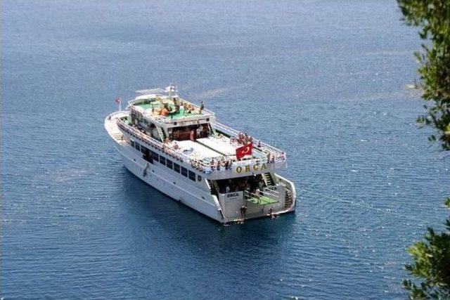 Marmaris’te Yarım Tonluk ’ay Balığı’ Görenleri Şaşırttı