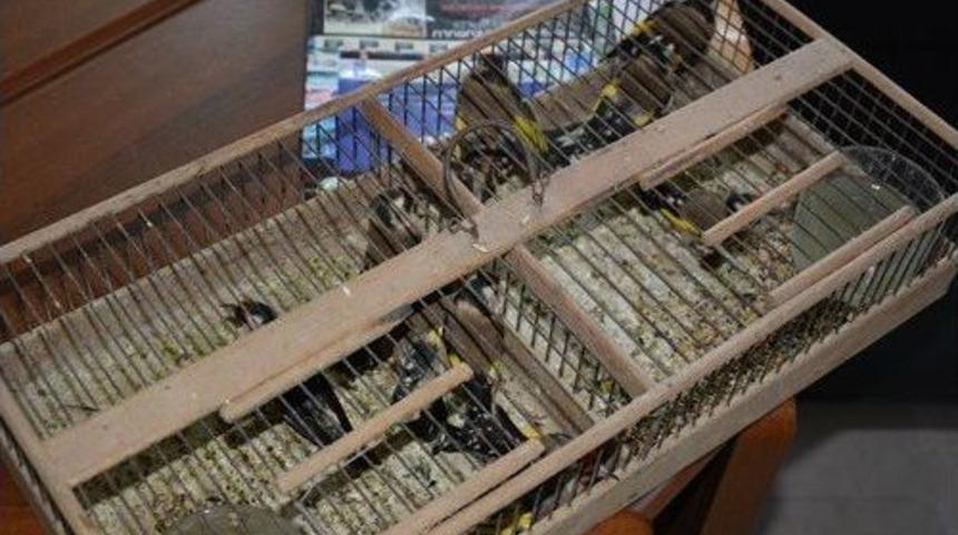 Koruma Altındaki Saka Kuşunu Yakalayanlara Ceza Yağdı