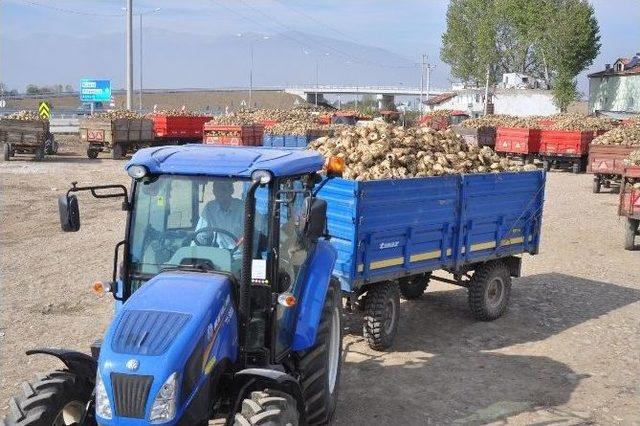 Pancarda Kota Uygulamasına Tepki