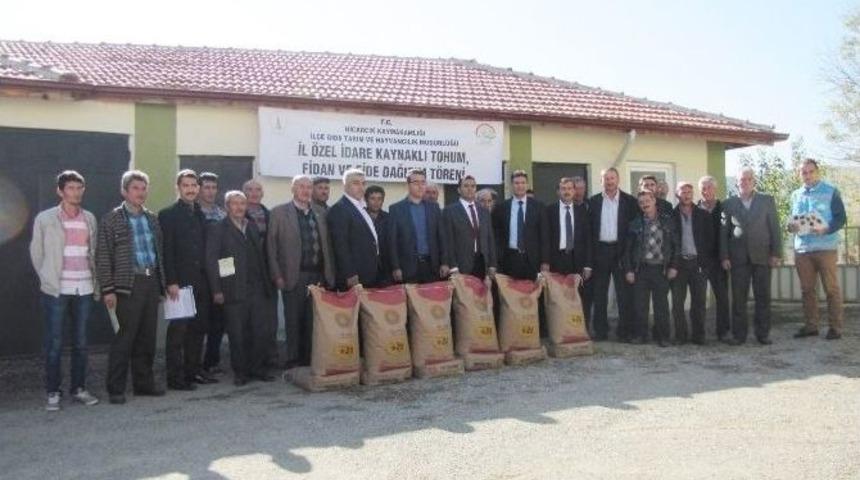 Hisarcık&rsquo;ta 29 &Ccedil;ift&ccedil;iye Macar Fiğ Tohumu Dağıtıldı