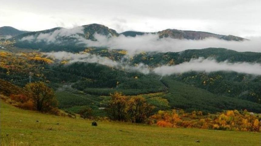 Posof&rsquo;ta Sonbahar Bir Başka G&uuml;zel