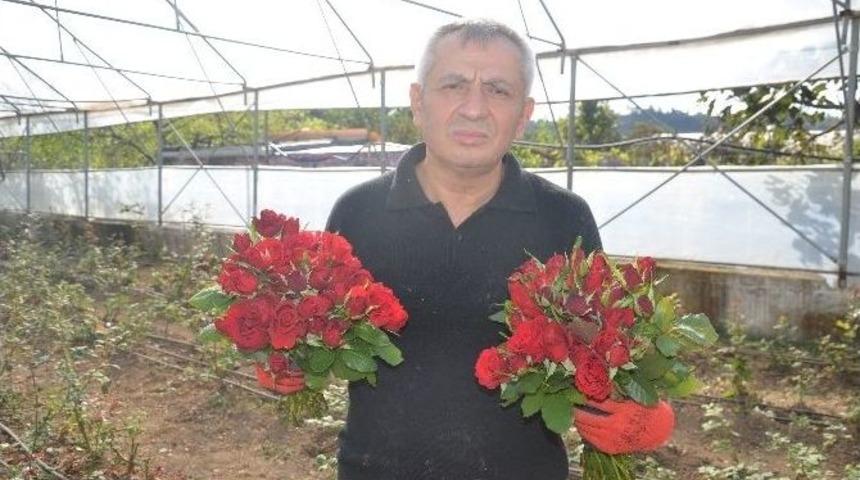 Fatsa&rsquo;daki Kesme &Ccedil;i&ccedil;ek&ccedil;ilerin Sorunları